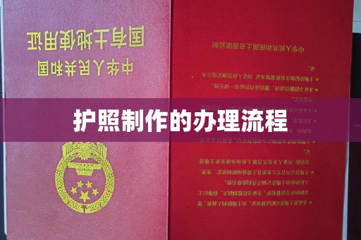 丽水护照制作的办理流程