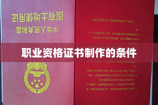 丽水职业资格证书制作的条件