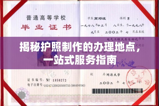 丽水揭秘护照制作的办理地点，一站式服务指南
