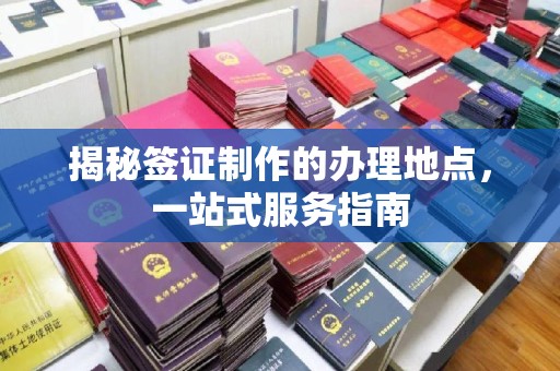 丽水揭秘签证制作的办理地点，一站式服务指南