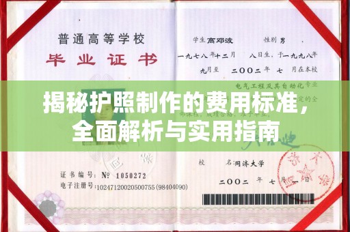 丽水揭秘护照制作的费用标准，全面解析与实用指南