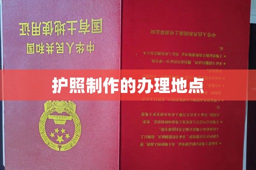丽水护照制作的办理地点
