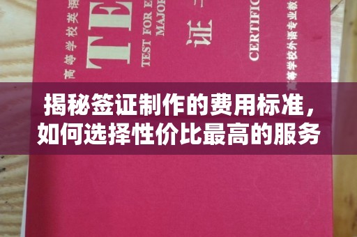 丽水揭秘签证制作的费用标准，如何选择性价比最高的服务？