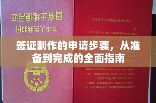 丽水签证制作的申请步骤，从准备到完成的全面指南