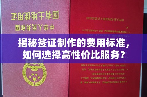 丽水揭秘签证制作的费用标准，如何选择高性价比服务？