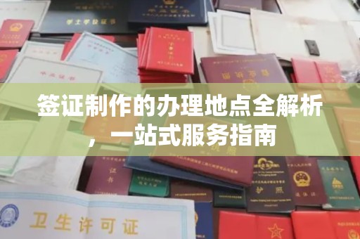 丽水签证制作的办理地点全解析，一站式服务指南